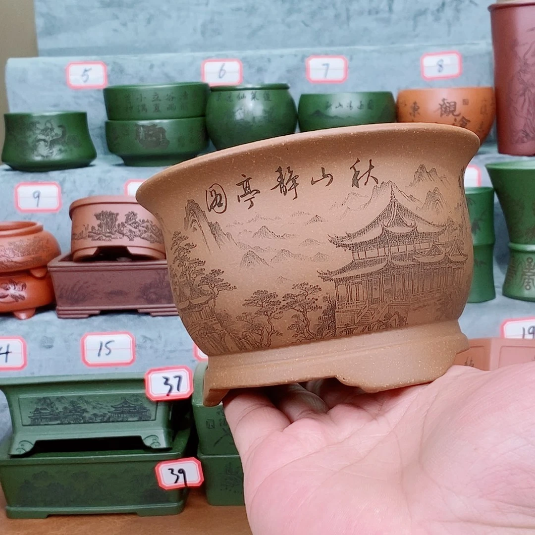 紫砂花盆我在看书