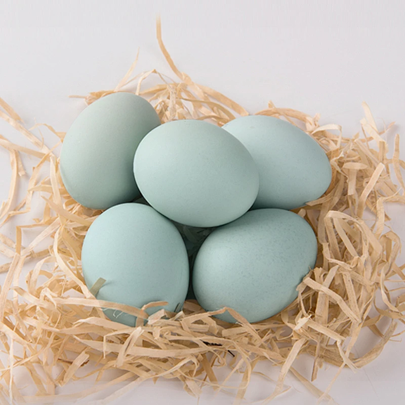 【50枚混合双拼】50枚新鲜散养绿壳蛋营养丰富农家现捡土鸡蛋