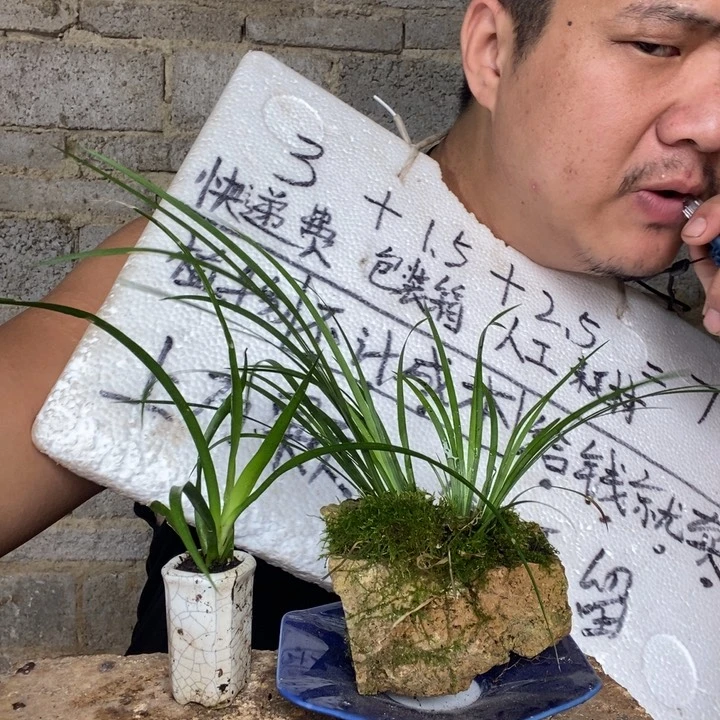 退款拉黑一物一拍12