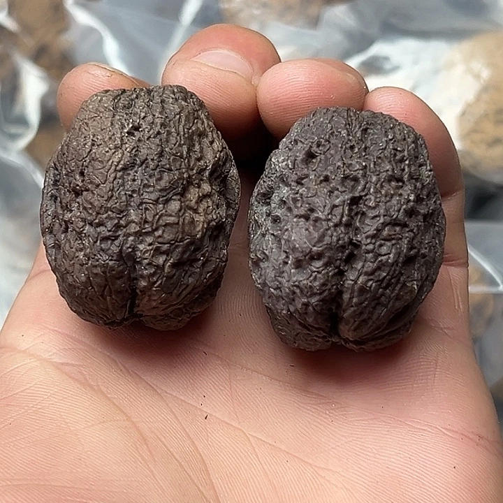 ****丷核桃饕餮40尺