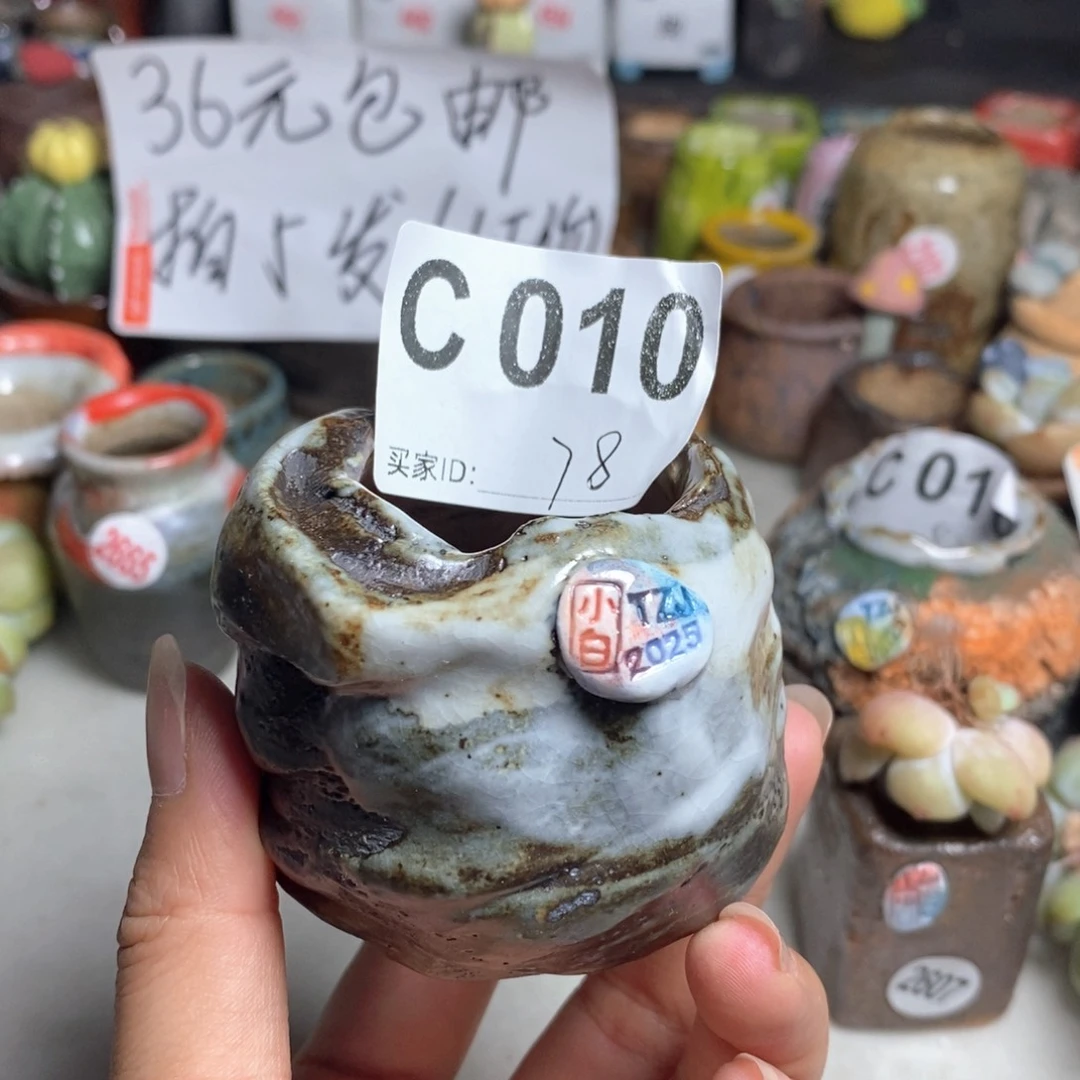 拍5送一个小礼物