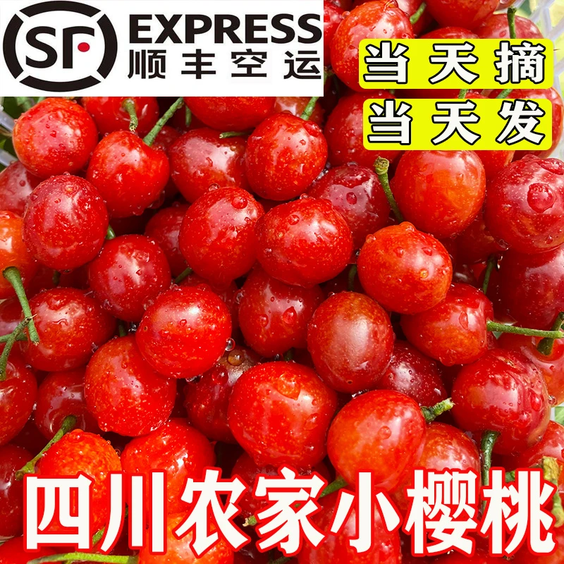 【顺丰空运】四川小樱桃新鲜现摘恩桃儿中华小樱桃软糯酸甜1-3斤L