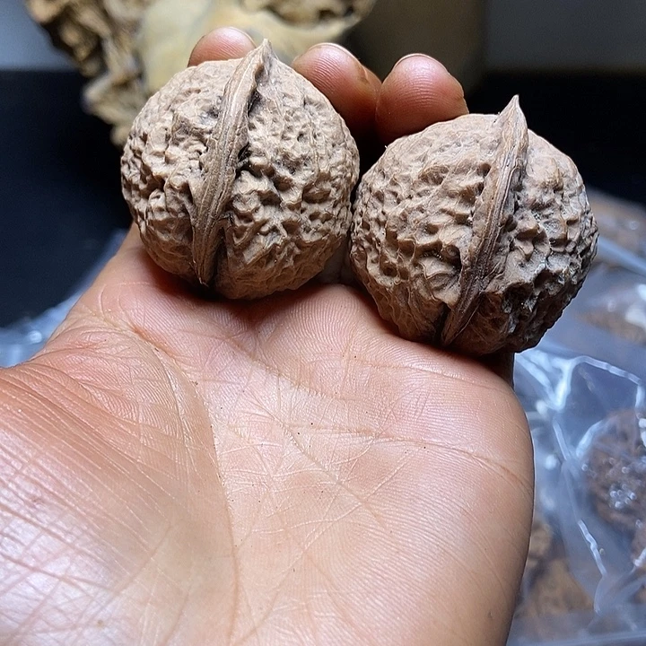 把件文玩核桃云南铁核桃基地22