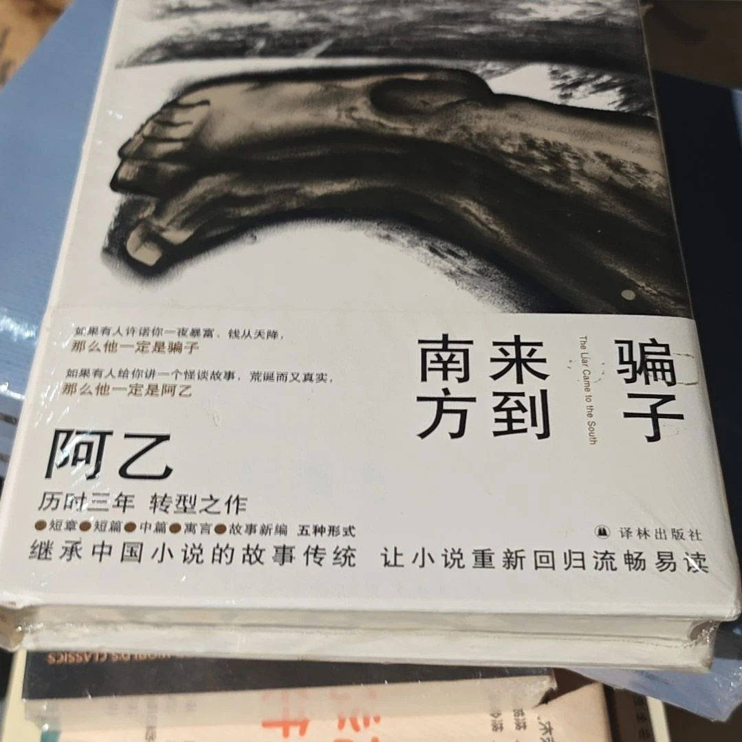 骗子来到南方阿乙精装塑封
