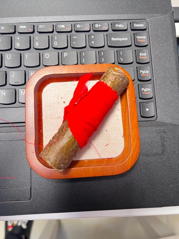 沂蒙山东南枝老桃木单根装保真桃树枝木质桃木枝纯桃木正品桃木棍