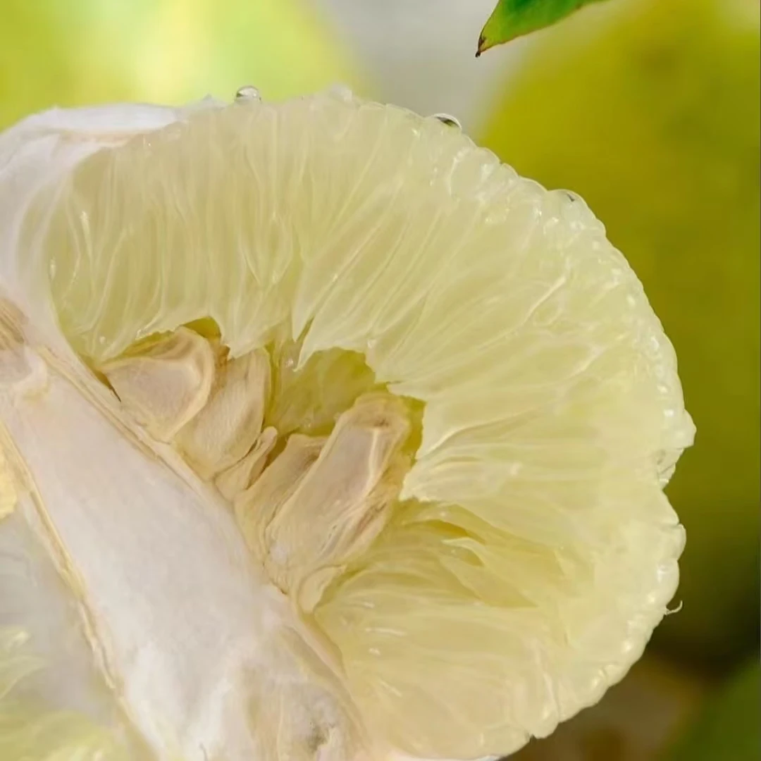 湖南怀化冰糖柚/小苦柚/麻麻柚/脆甜新鲜当季水果