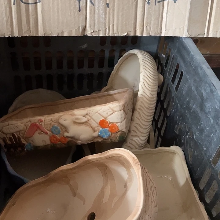 随机1个3166161616191616161616