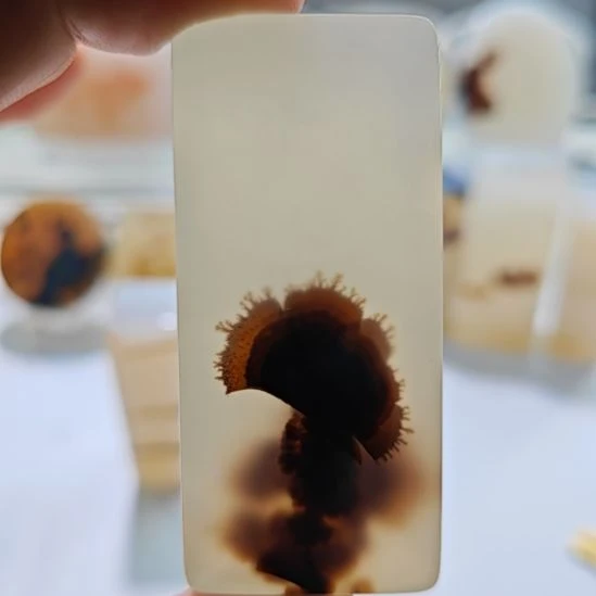 玛瑙/玉髓未镶嵌吊坠(不含链)45号章料