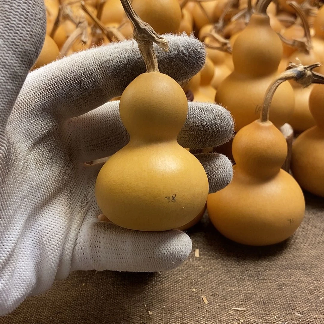 文玩葫芦 完美主义者 慎拍78