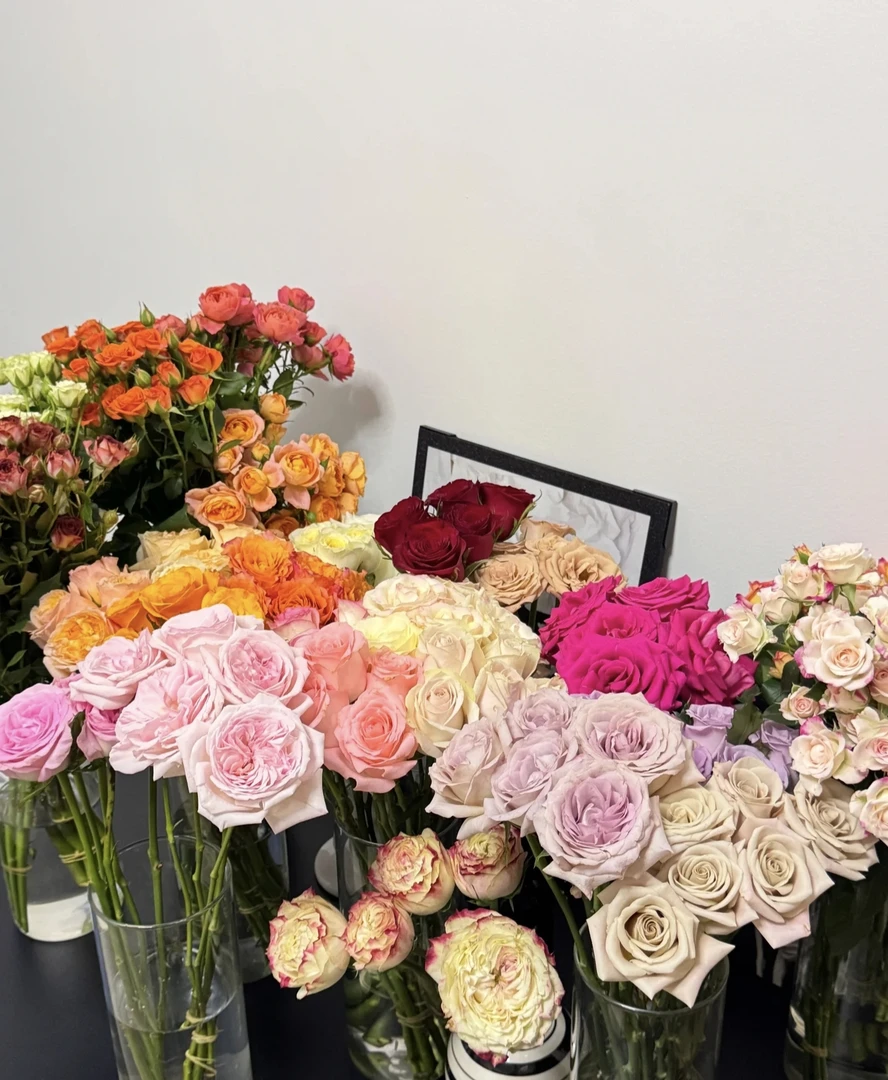 40枝自选混搭玫瑰】云南鲜花 7种玫瑰随意混搭 昆明基地直发