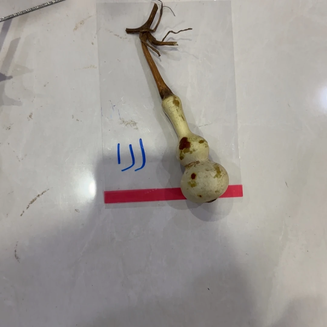 桃***1青皮不包成，，，，，，，，，，