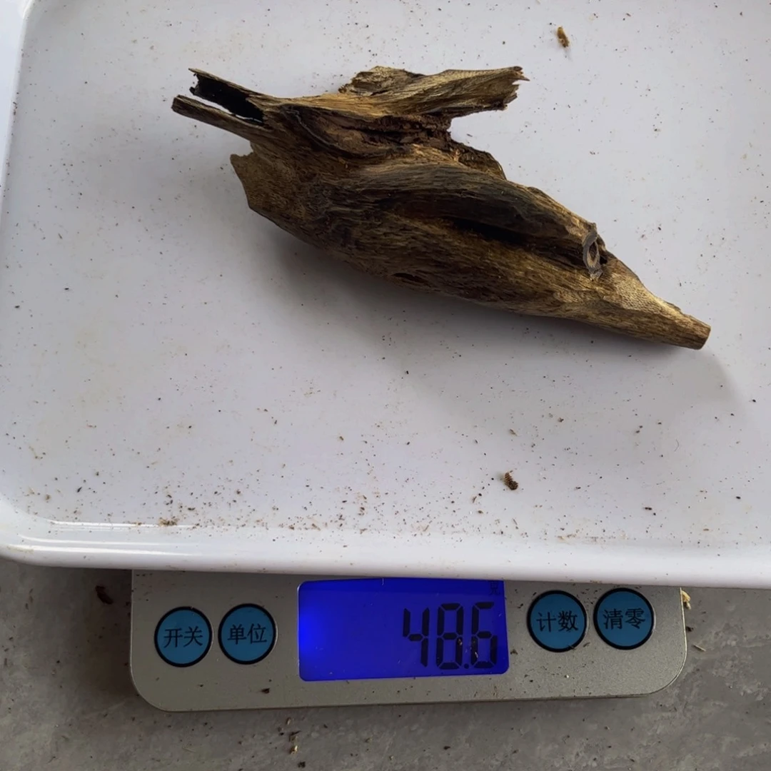 摆件沉香木奇楠48 克。。。