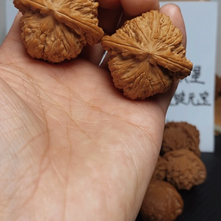 大叶紫檀（黑酸枝木类）41尺寸白狮子一对