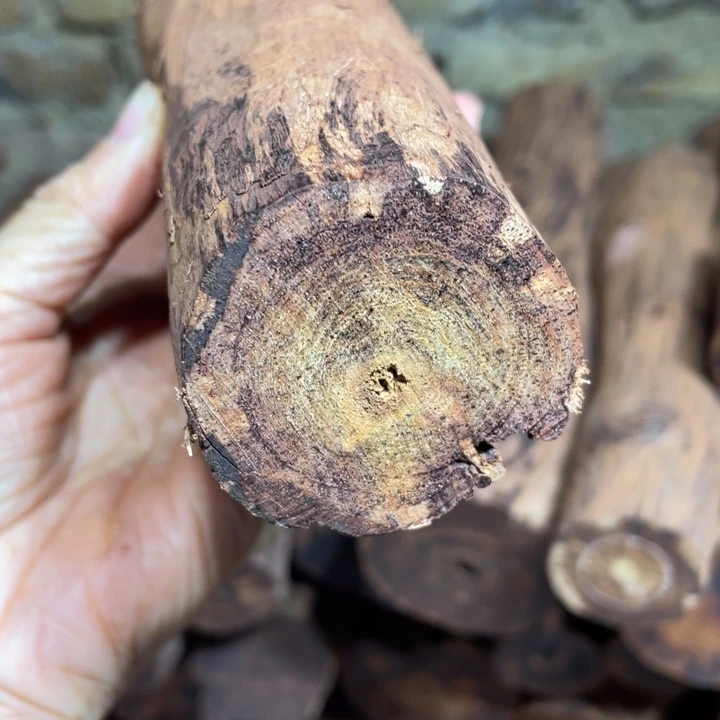 手串/手链降真香定制缅甸小叶降真香