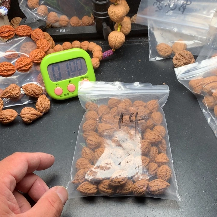 桃核吊坠雕****n野生精品小核桃散籽