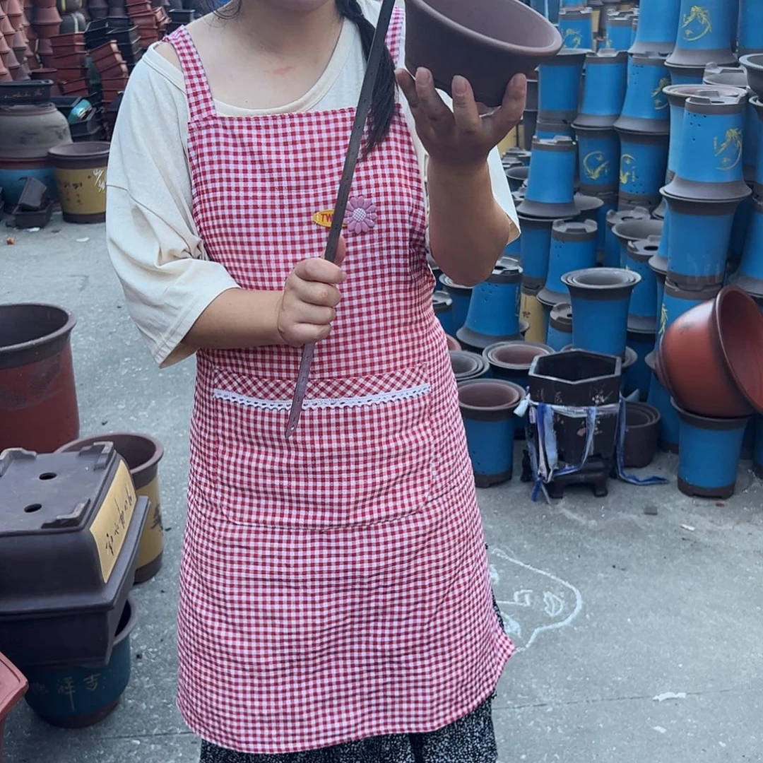 花盆花盆花盆花盆花盆a62