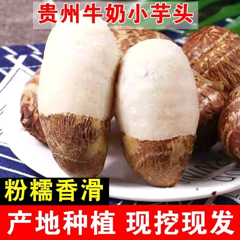 【牛奶小芋头】现挖新鲜芋艿粉糯香芋农家毛芋头芋儿当季蔬菜