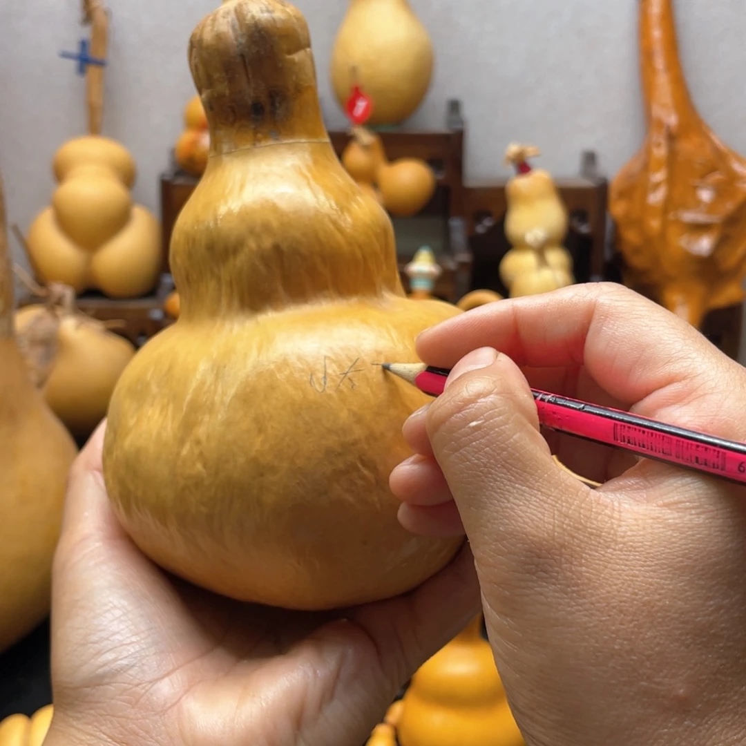 小*阳大自然的秘密第十一章第一