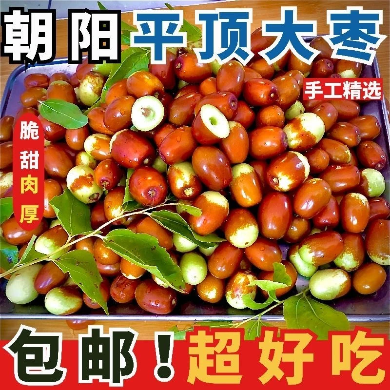 朝阳孙家湾平顶红枣现采现摘新鲜脆爽鲜甜多汁