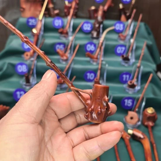 贵州檬子木一物一拍