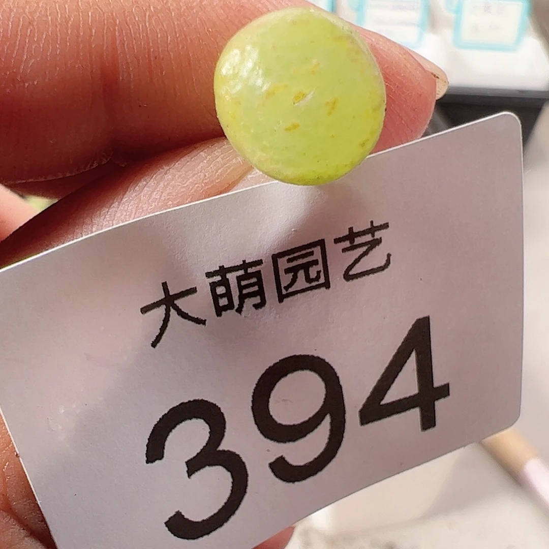 0000394 一物一拍……