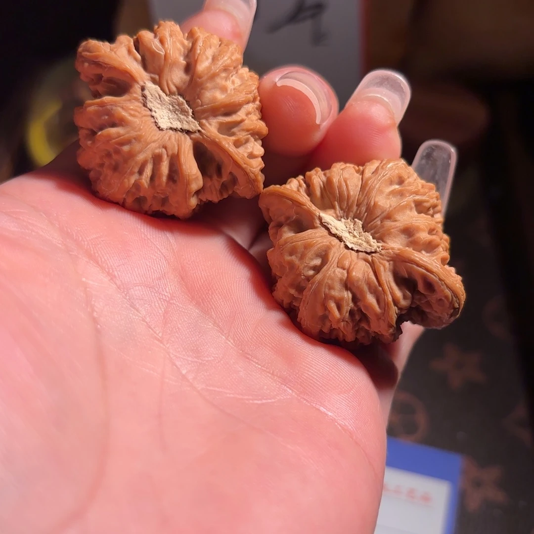 叶***秋核桃密纹石膏底全品精配