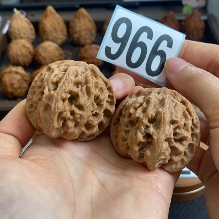 核桃966苹果园43尺寸新全