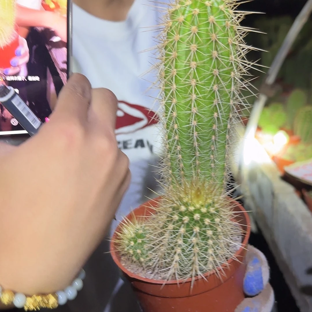 无花朵吾*笑花花花哈哈哈哈哈哈哈哈哈