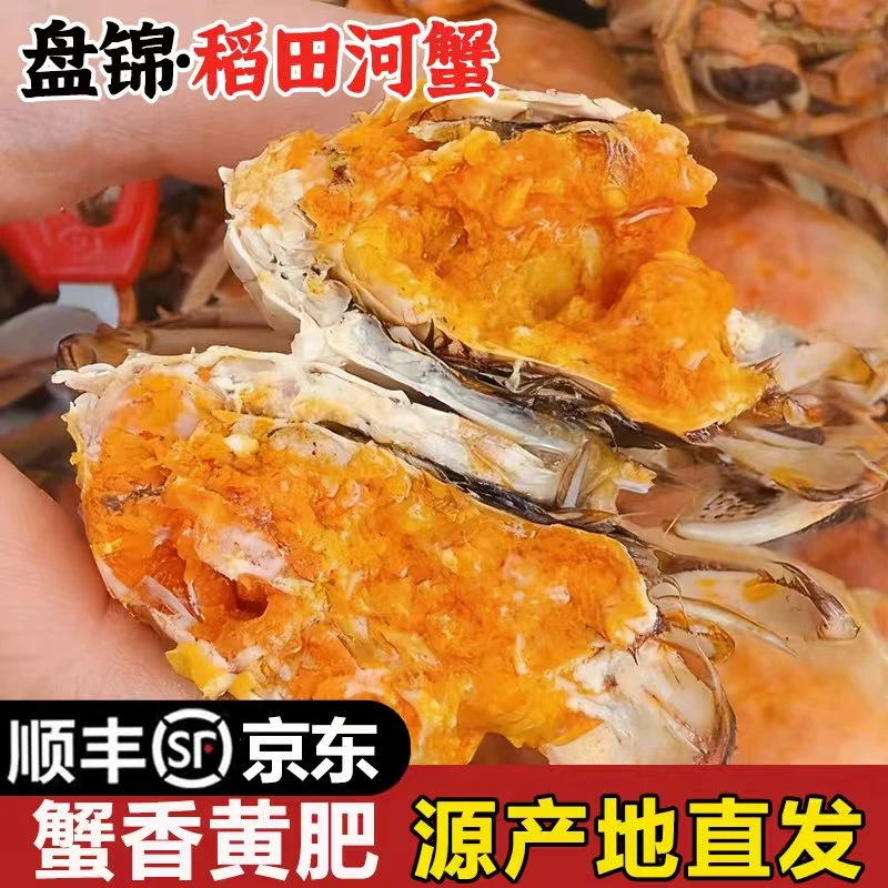送12只【公母蟹】LL盘锦稻田蟹0.8-1.3两公母蟹共发24只