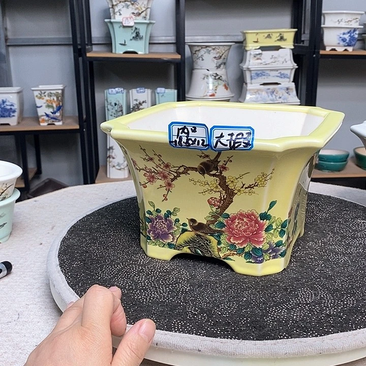 紫砂的花盆很漂亮6