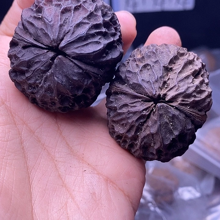 文玩核桃把件  233