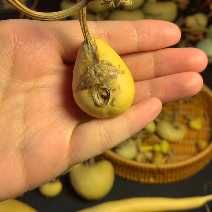 全***恼银S925葫芦葫芦葫芦好