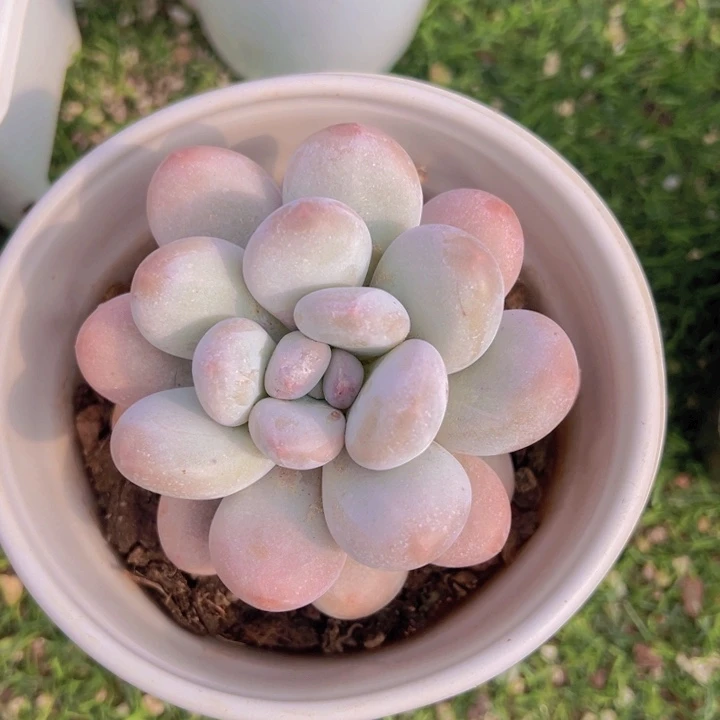 健健康康平平安安