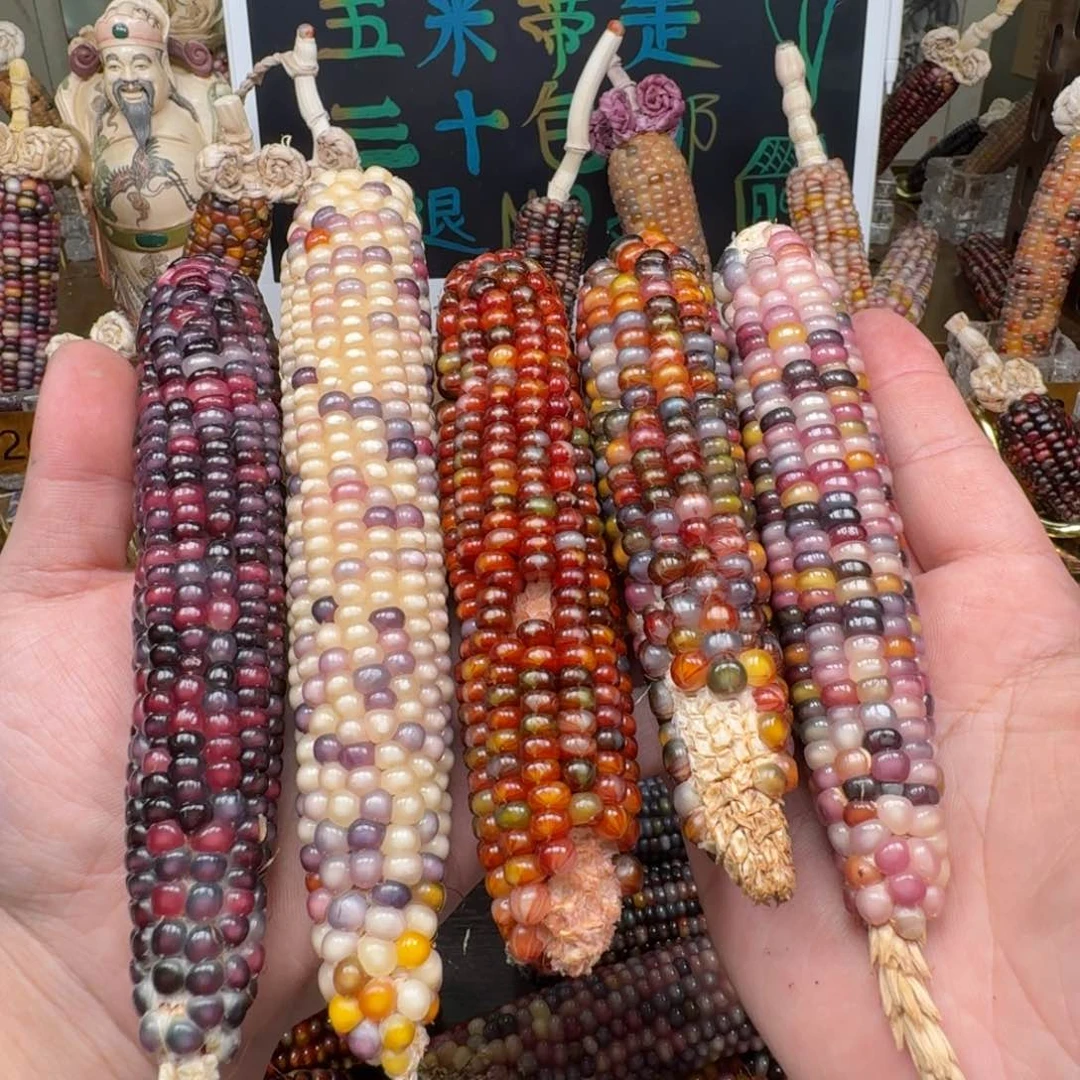 柏香籽/百香籽吊坠?*媚