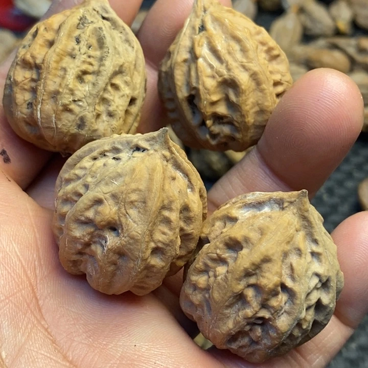 吊坠文玩核桃娜姐136