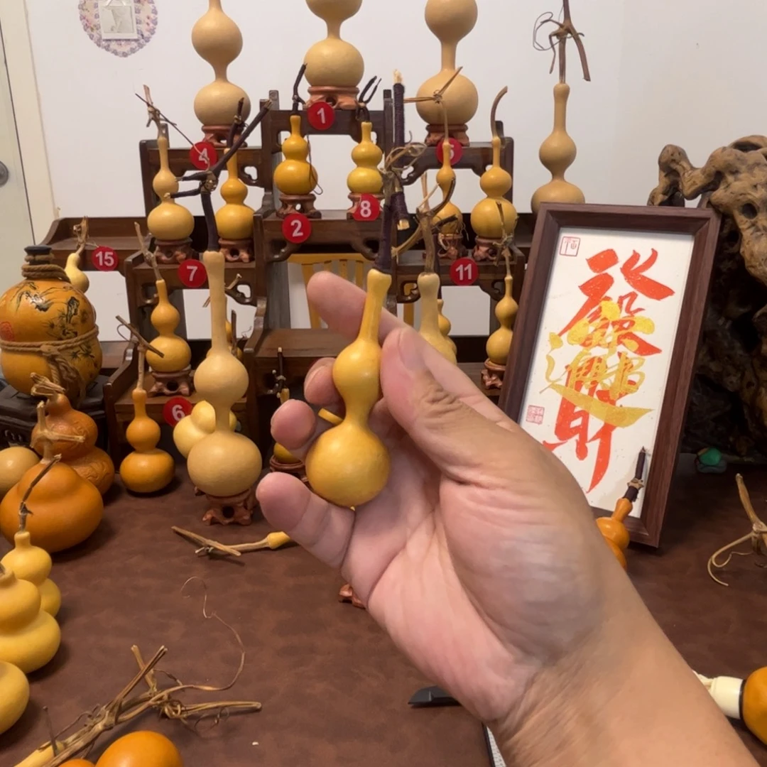 野***人三庭葫芦一物一拍