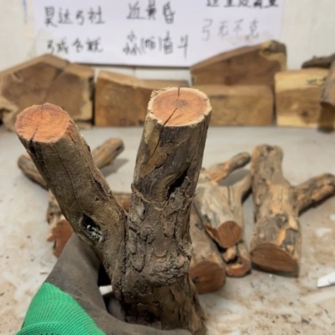 大果紫檀（缅甸花梨）遥*