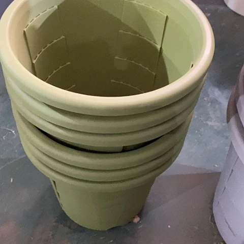 树脂测5果绿无托5个