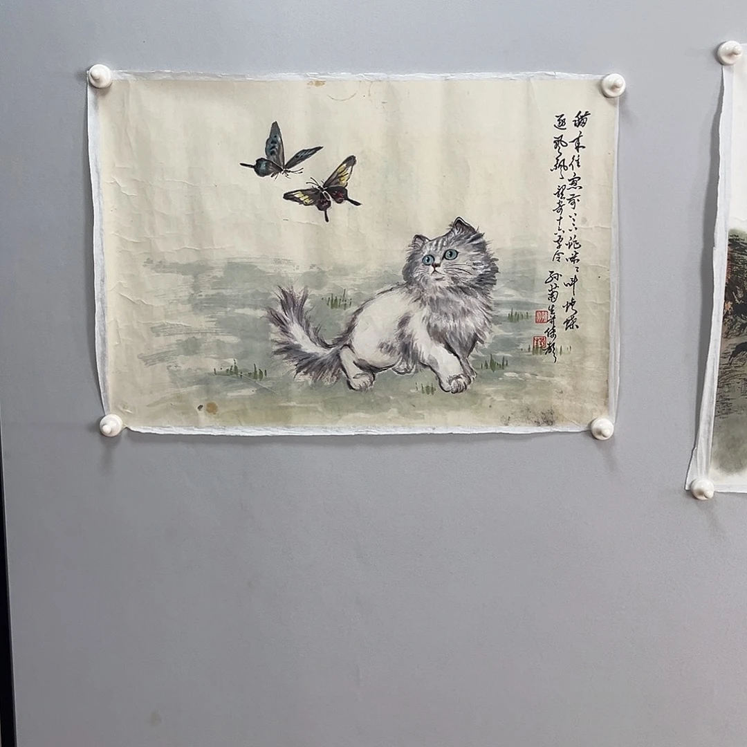 书法孙老师画作小喵咪