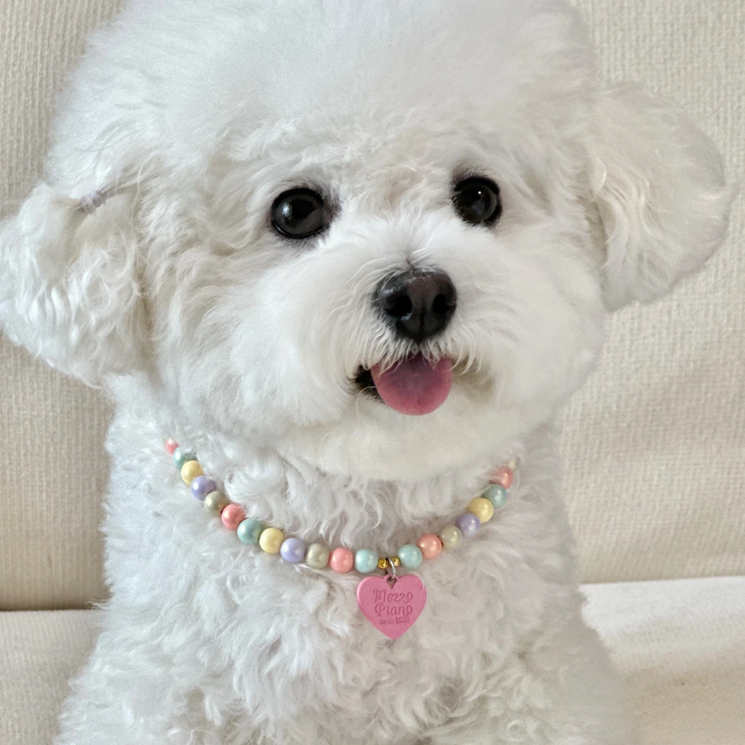 马卡龙宠物项链狗狗项链爱心吊坠小型犬比熊雪纳瑞饰品猫咪项链