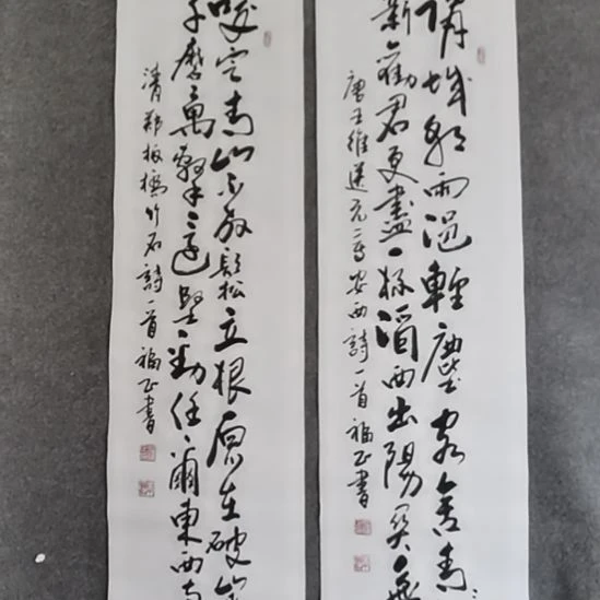 天***飞书法书书屋书法作品