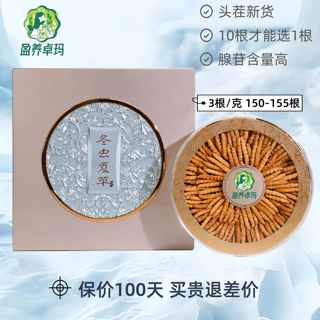 【150根高档礼盒】头茬干冬虫夏草正品送礼滋补头期甄选饱满礼盒装