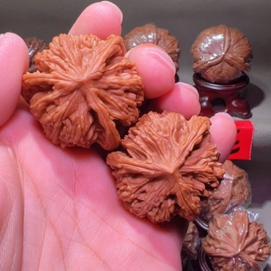 把件文玩核桃极品麦穗虎头球奔40边35高