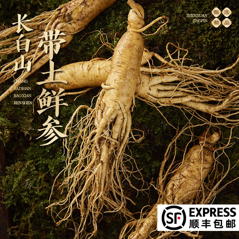 【人参福利1斤】长白山新农人新鲜人参东北吉林煲汤煮茶泡酒送礼