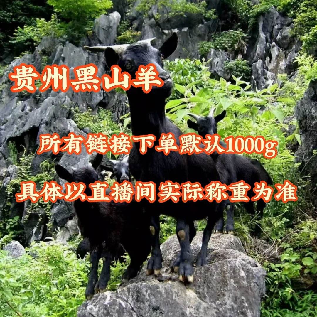现场称重改价贵州山区正宗散养黑山羊肉带皮新鲜现宰跑山羊