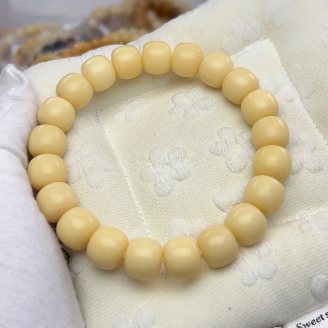 吊坠菩提根/象牙果13干磨树王873