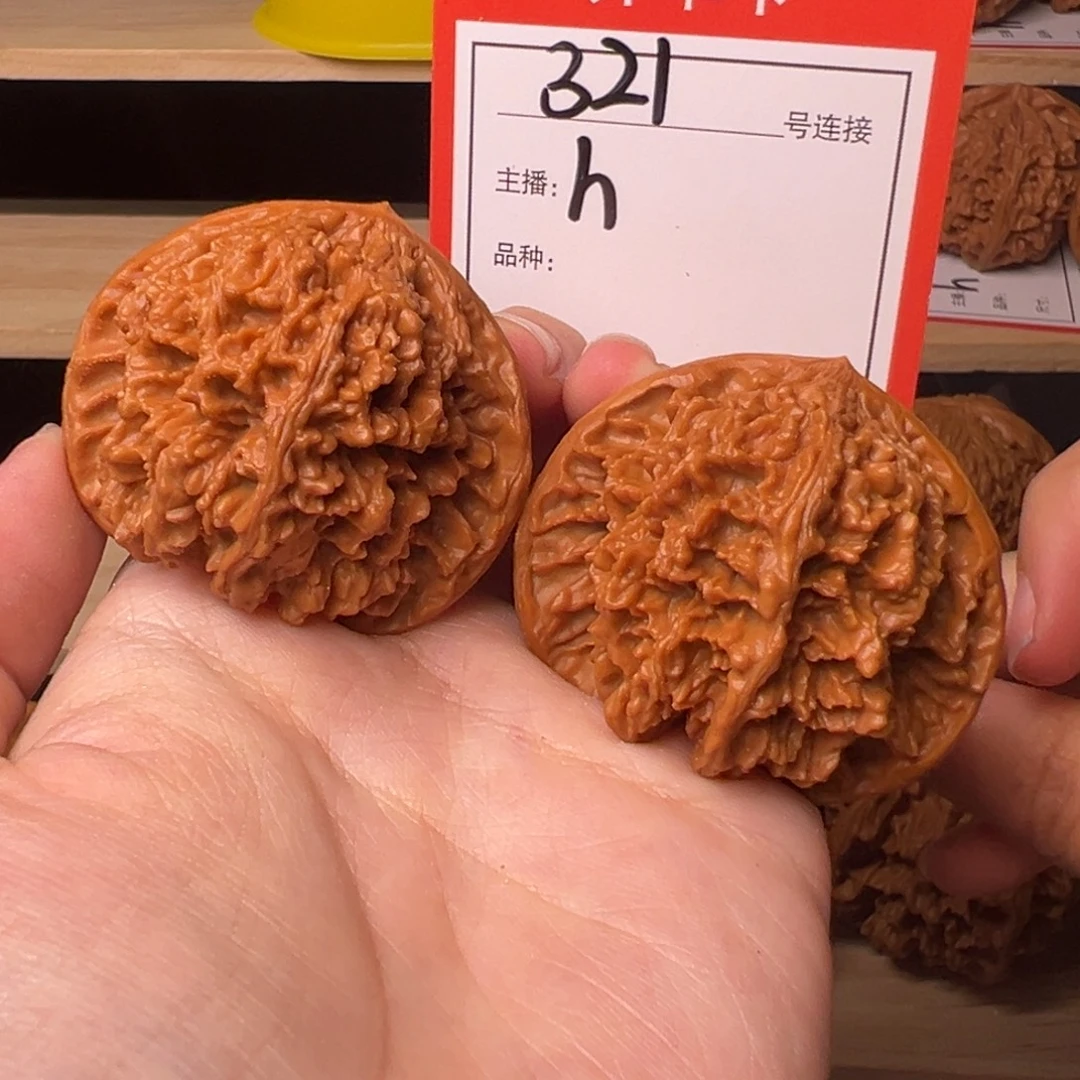 核桃42满天星321号