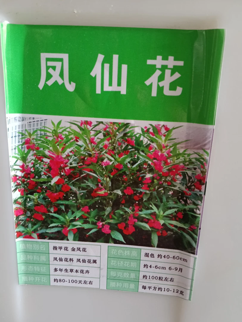 凤仙花，指甲花，金凤花