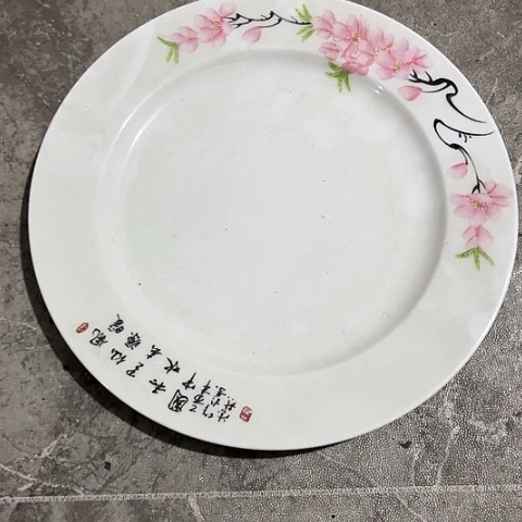 陶瓷10寸手绘盘一个