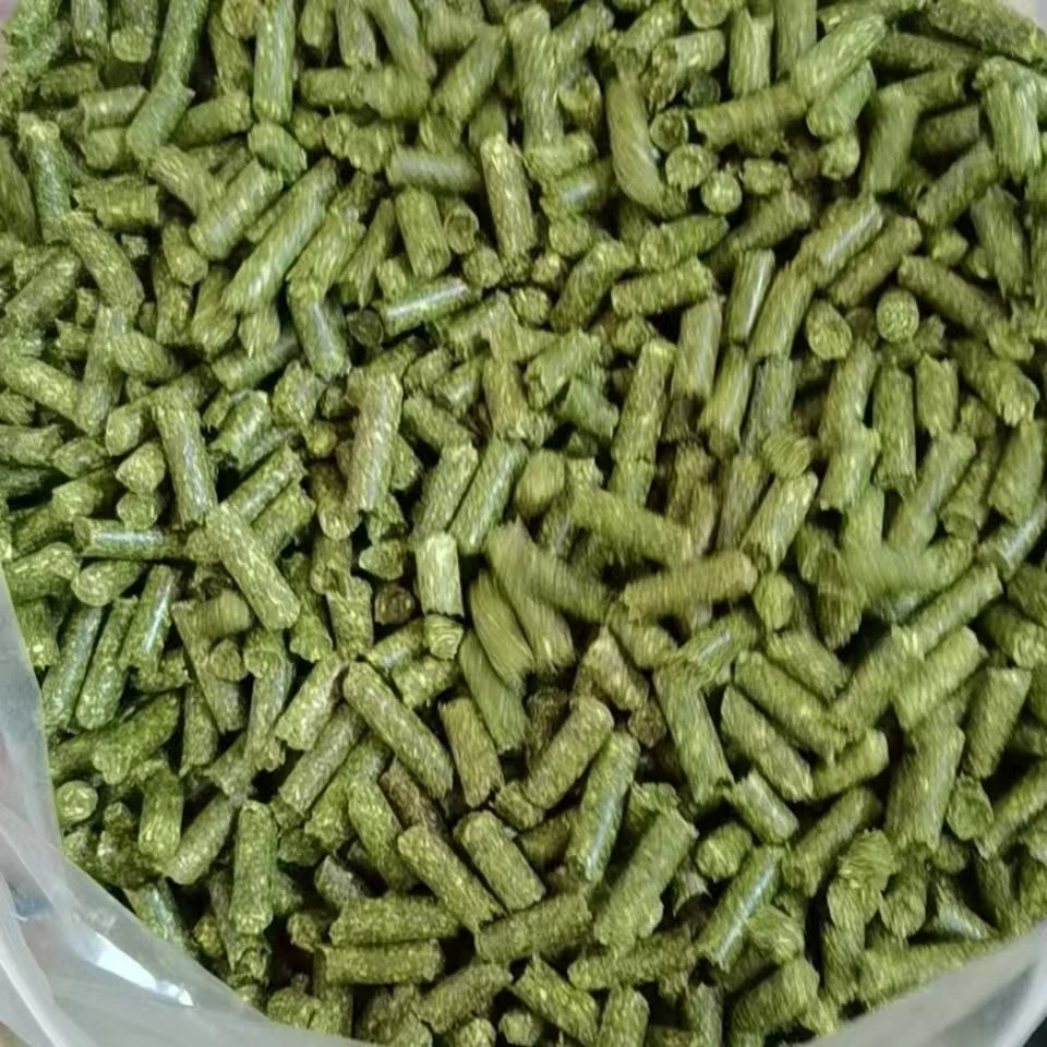 宠物豚鼠饲料仓鼠荷兰兔饲料荷兰猪粮天竺鼠饲料果蔬类美毛饲料